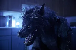 Werewolves (2024)_Image2