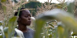 40 Acres (2024)_Image2