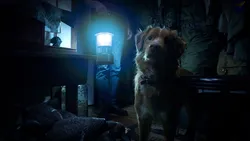 Good Boy (2025)_Image2