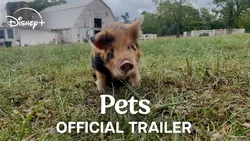 Pets (2025)_Image1