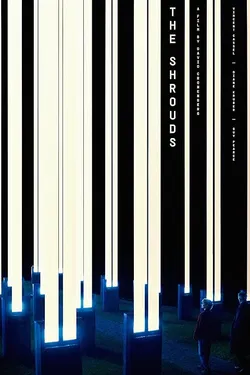 The Shrouds (2024)_Image2