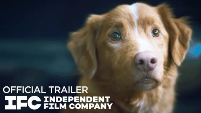 Good Boy (2025)