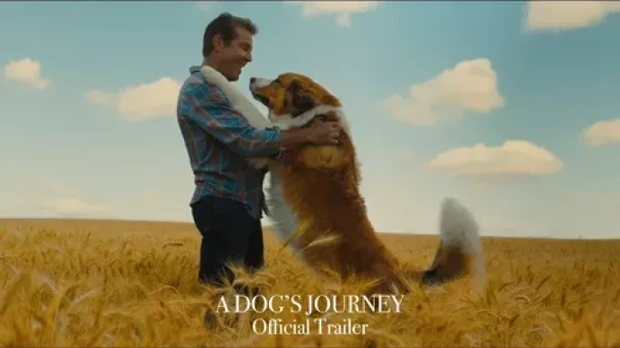 A Dog's Journey (2019)