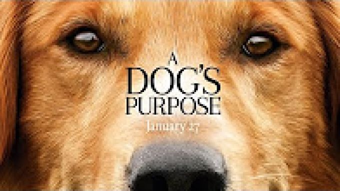 A Dog's Purpose (2017)