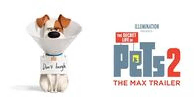 The Secret Life of Pets 2 (2019)